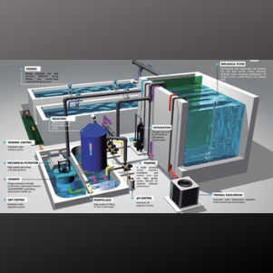 Waste Water Treatment_1